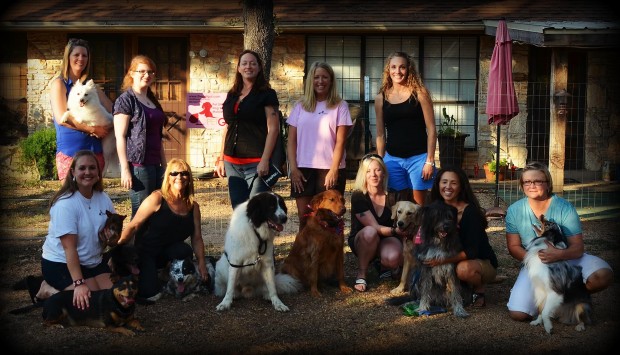 Welcome To The Pet Gal’s Blog