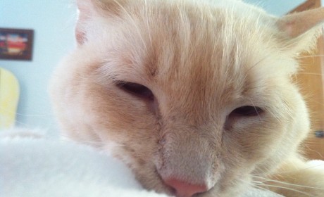 Rise and Shine