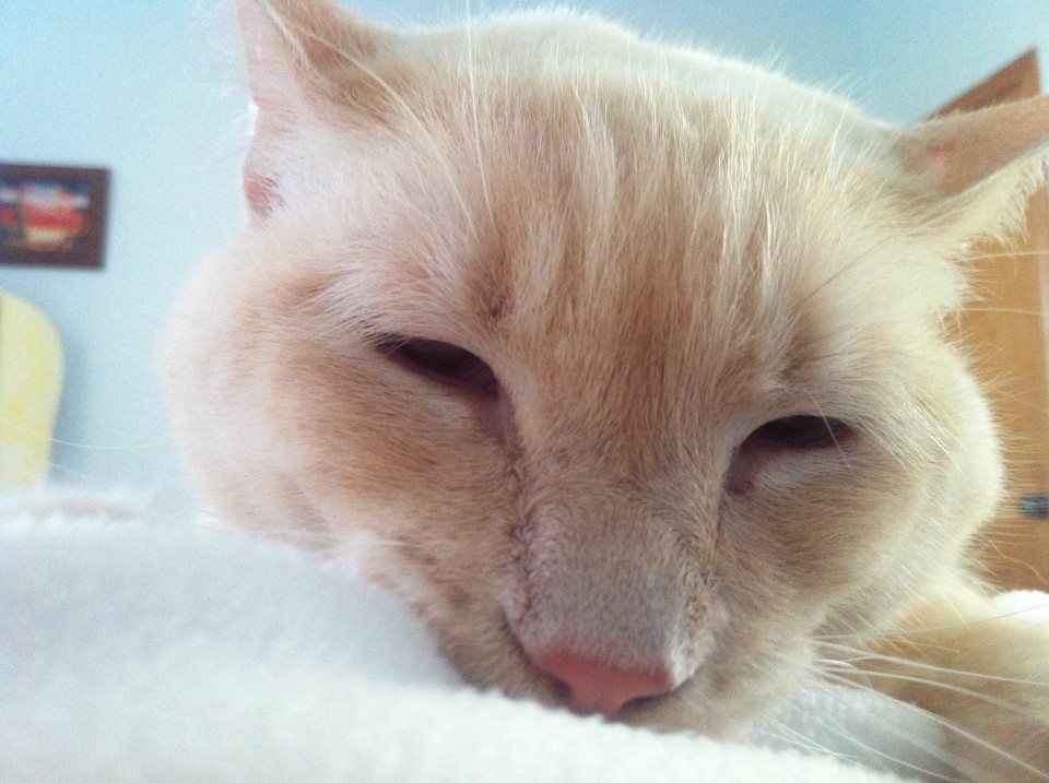 Rise and Shine