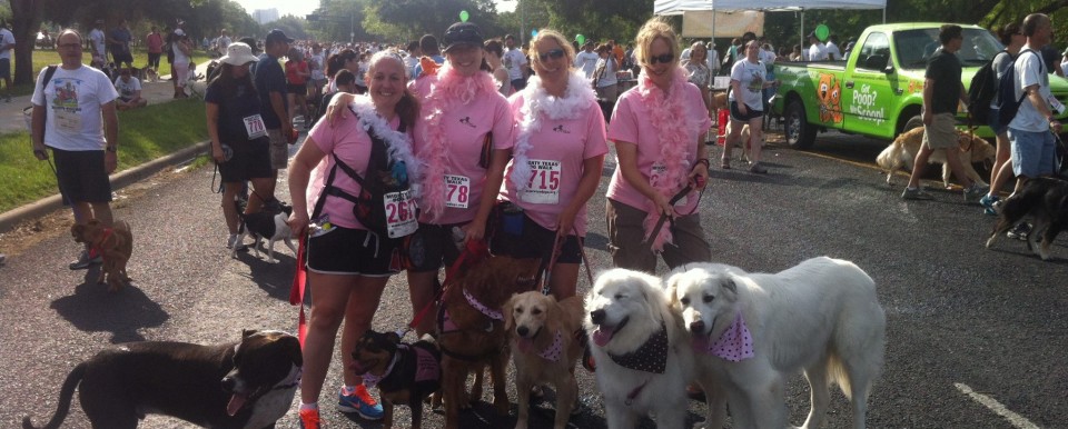 Mighty Texas Dog Walk 2011