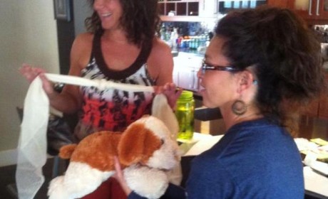 Pet Gal Pet CPR & First Aid Training