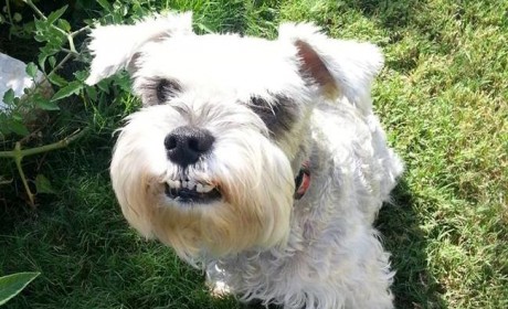 Maggie