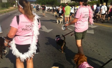Mighty Texas Dog Walk