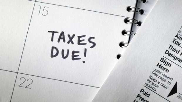 How Do I File My Pet Gal Taxes?