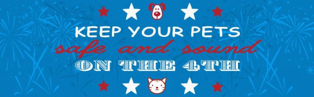 Pet Fireworks Safety