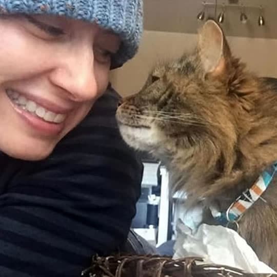 tech vs pet cat sitting