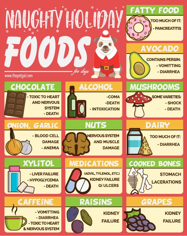 Naughty Holiday Foods That Can Be Hazardous To Dogs