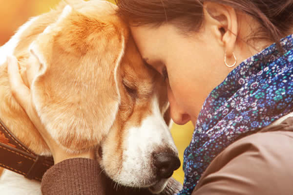 Christmas Puppy Owner Surrender
