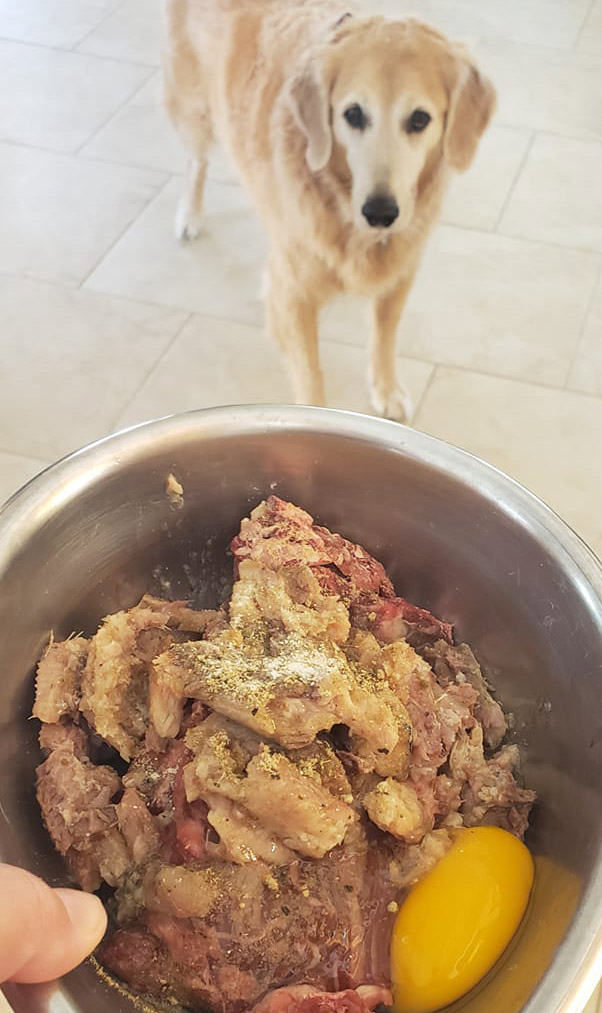 Jake Love Raw Dog Food