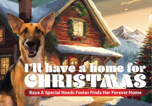I’ll Have A Home For Christmas: A special needs foster finds her forever home.